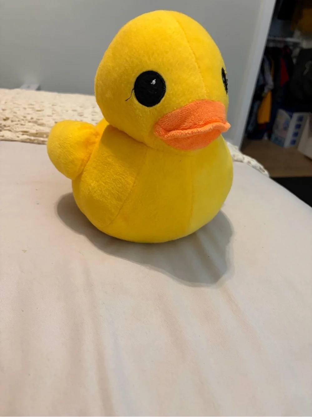 N/A ducky wonderland